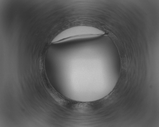 X0000082930086200702222231
