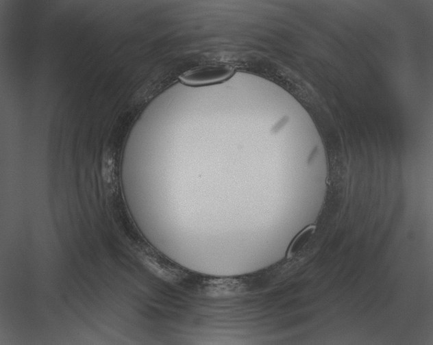 X0000082930087200702222231