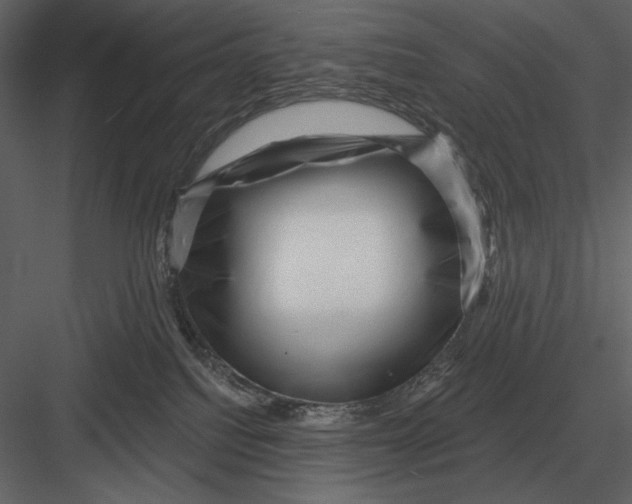 X0000082930088200702222231