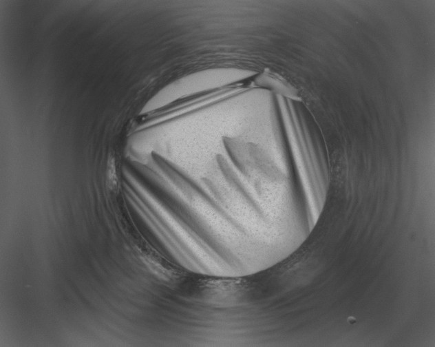 X0000082930089200702222231
