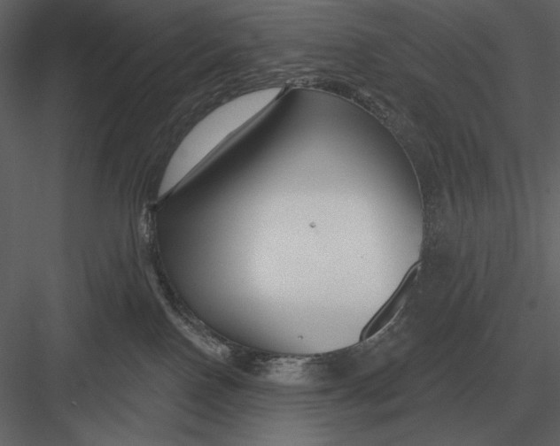 X0000082930090200702222231