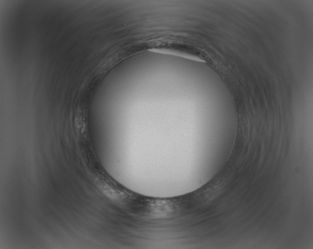 X0000082930091200702222231