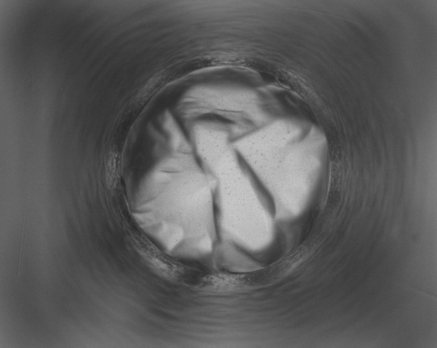 X0000082930093200702222231