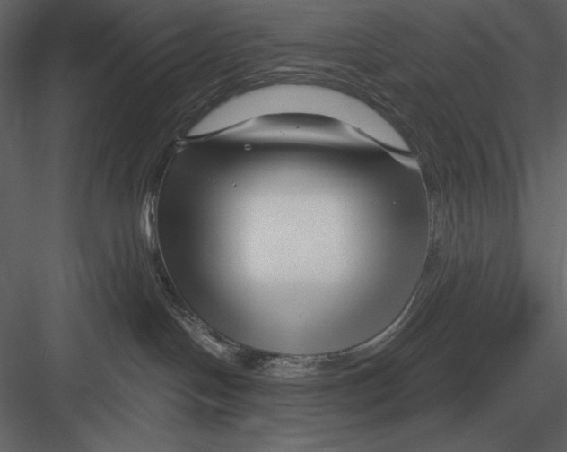 X0000082930094200702222231