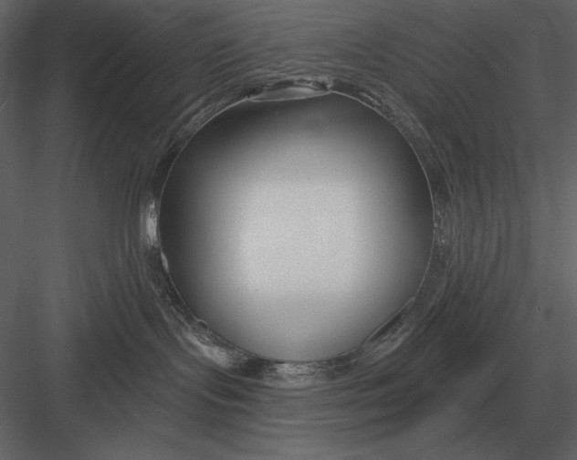 X0000082930095200702222231