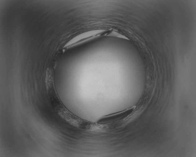 X0000082930096200702222231