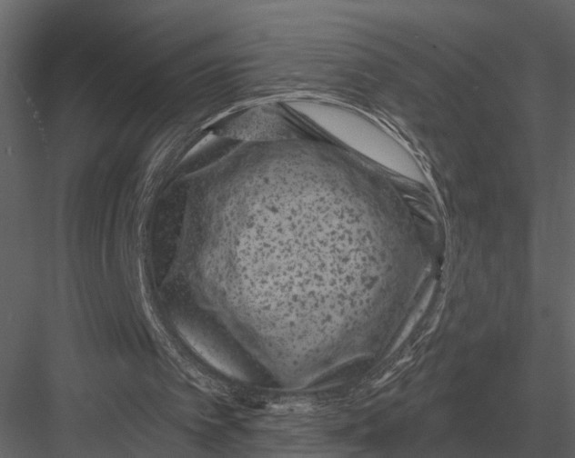 X0000082930097200702222230