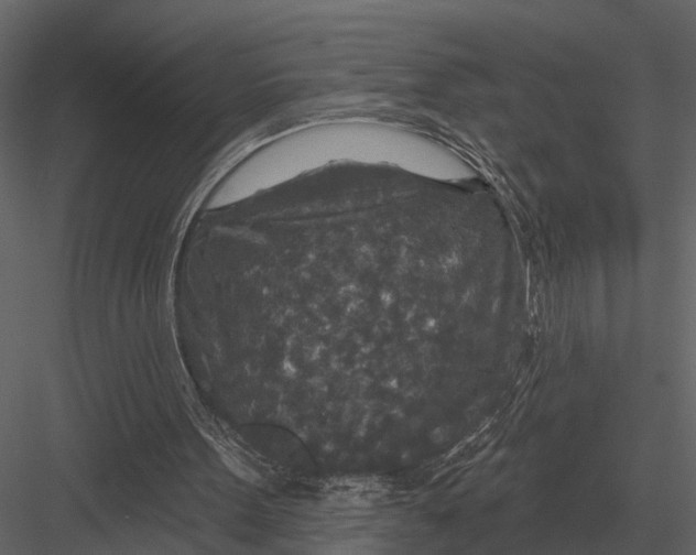 X0000082930099200702222230