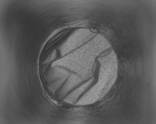 X0000082930100200702222230