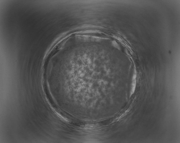 X0000082930101200702222230