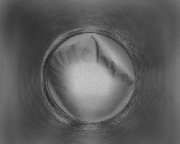 X0000082930102200702222230