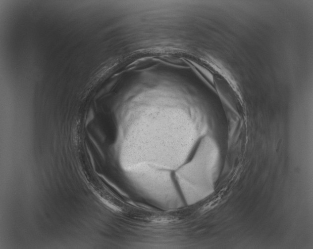 X0000082930105200702222230