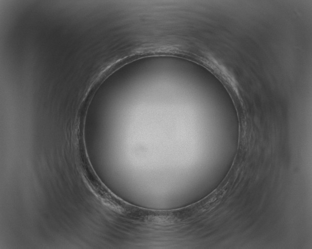 X0000082930107200702222230