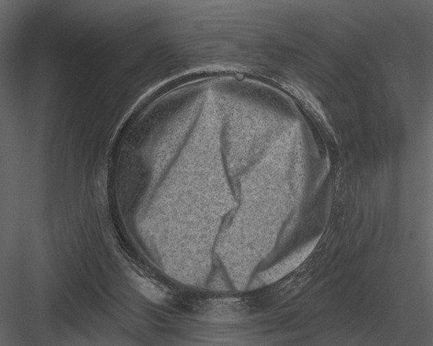 X0000082930108200702222230