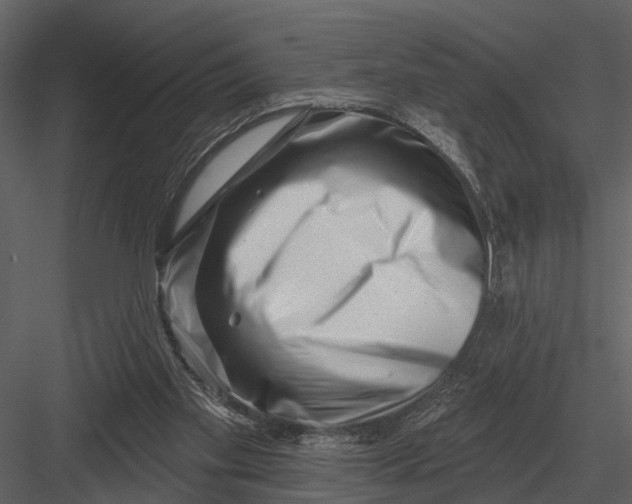 X0000082930109200702222230