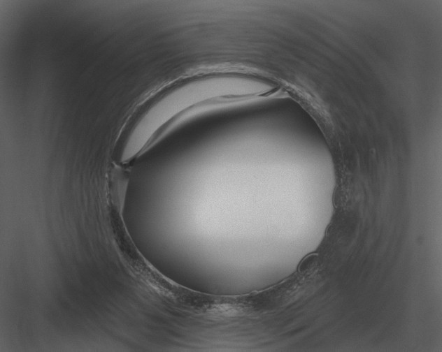 X0000082930111200702222230