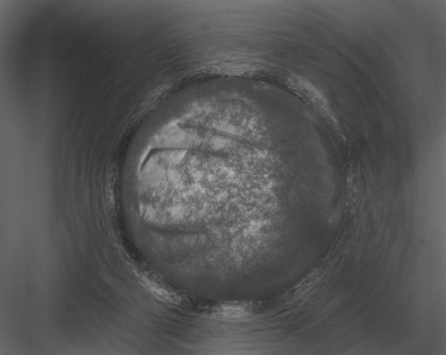 X0000082930114200702222230