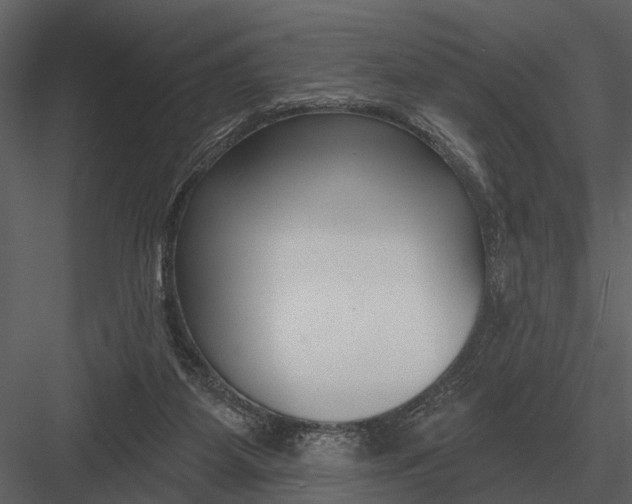 X0000082930115200702222230
