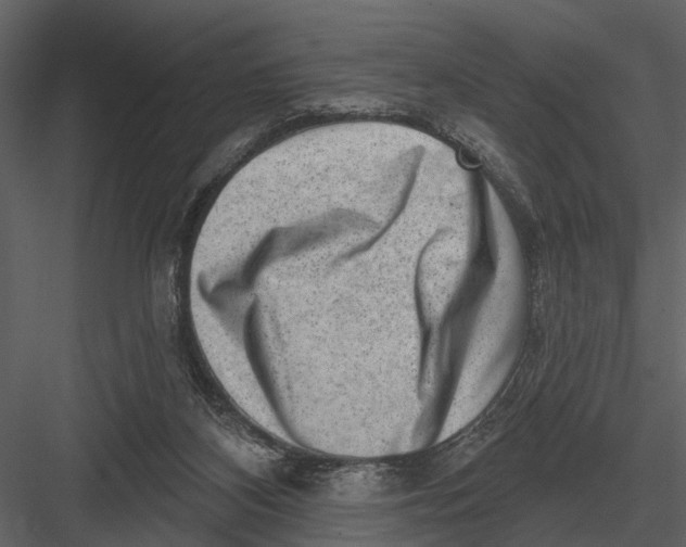 X0000082930116200702222230