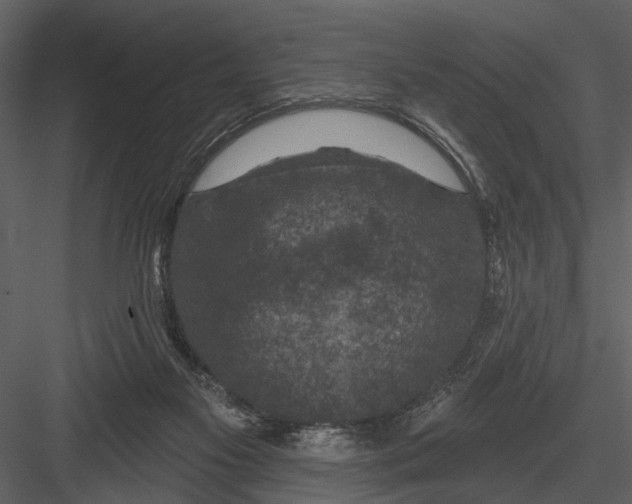 X0000082930117200702222230