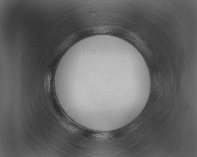 X0000082930118200702222230