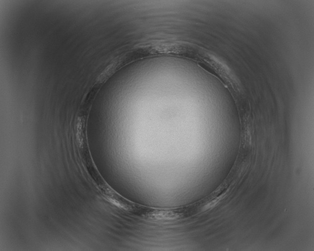 X0000082930121200702222230