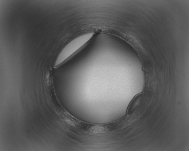 X0000082930123200702222230