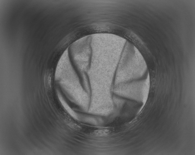 X0000082930124200702222230