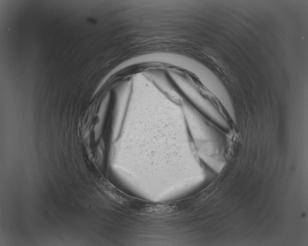 X0000082930125200702222230