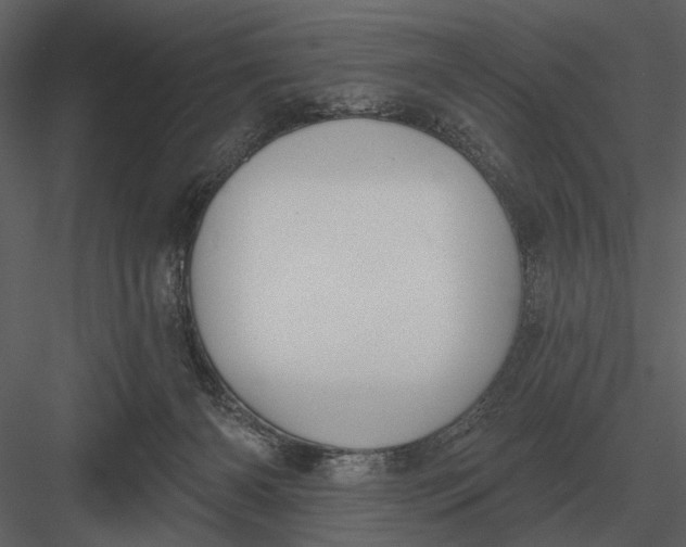 X0000082930126200702222230