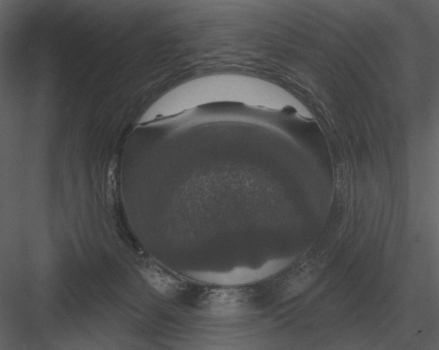 X0000082930127200702222230