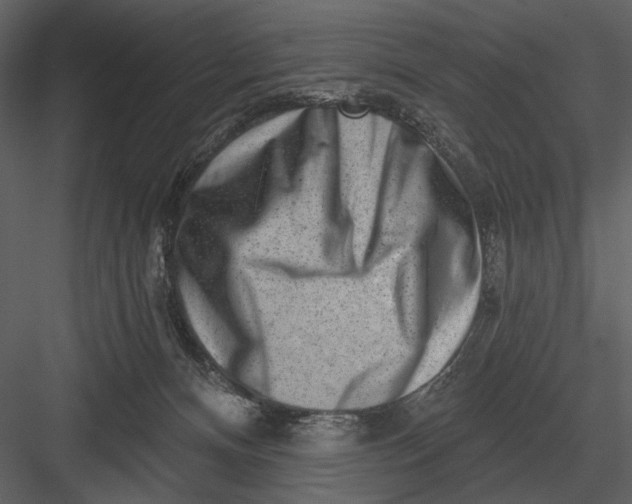 X0000082930128200702222230