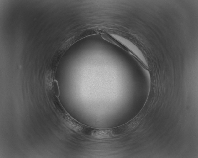X0000082930129200702222230