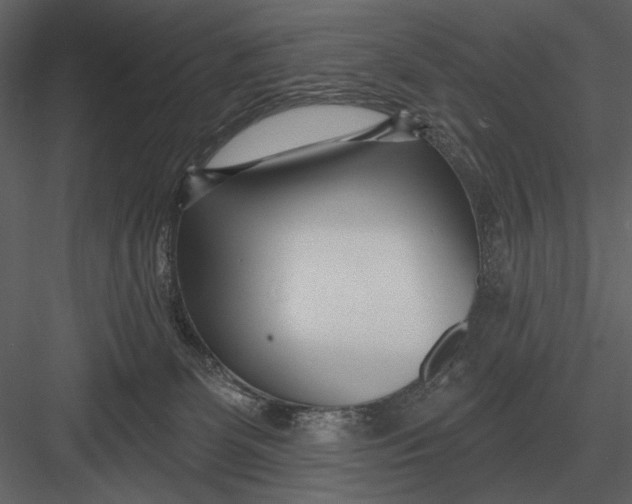 X0000082930131200702222229