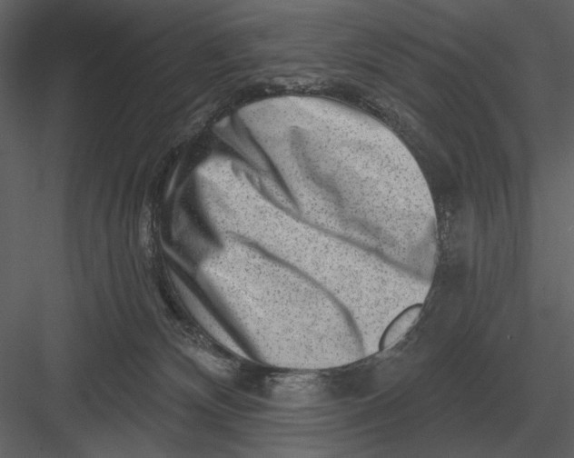 X0000082930132200702222229