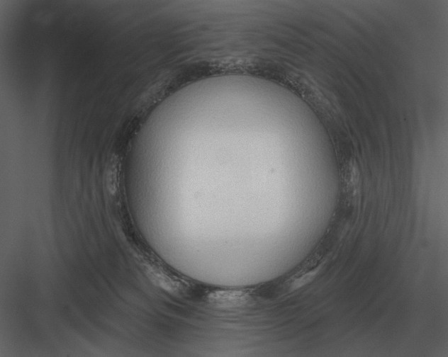 X0000082930133200702222229