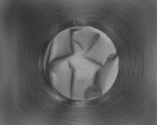 X0000082930134200702222229