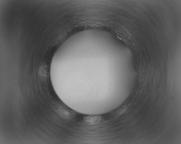 X0000082930135200702222229