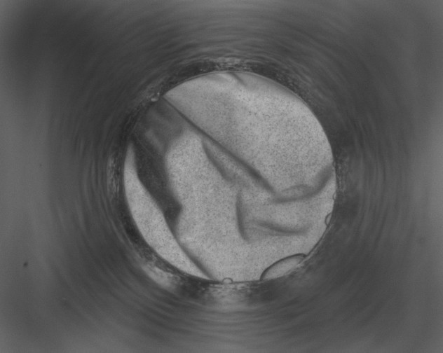 X0000082930136200702222229