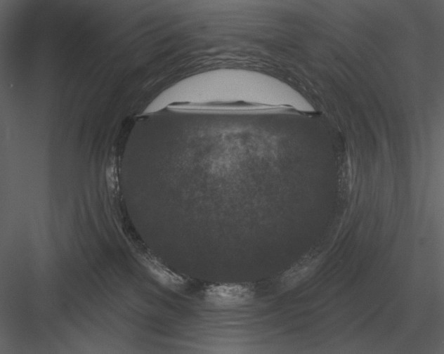 X0000082930137200702222229