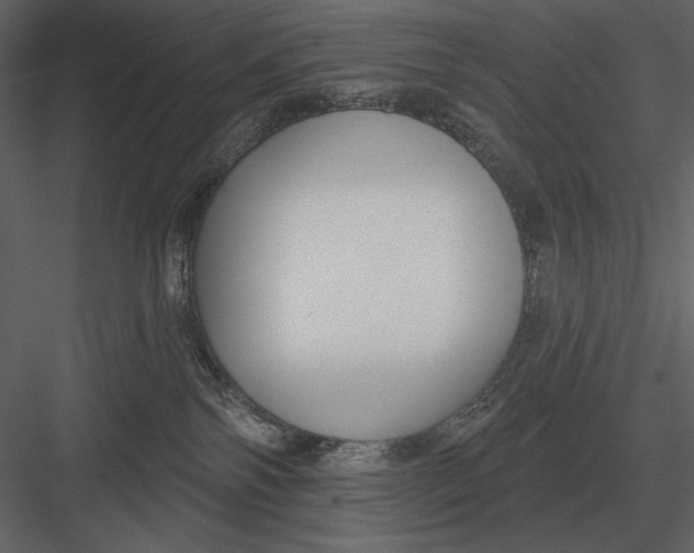 X0000082930138200702222229