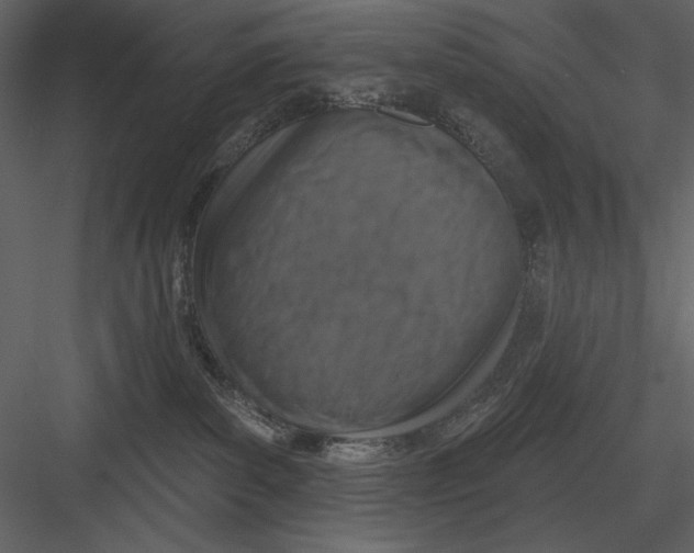 X0000082930139200702222229