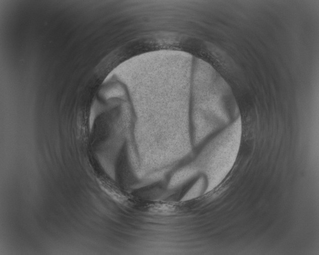 X0000082930140200702222229
