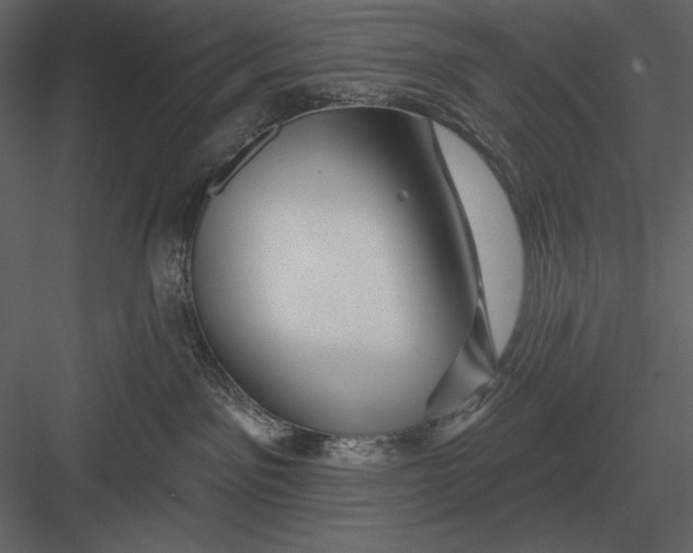 X0000082930141200702222229