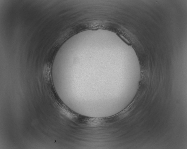 X0000082930142200702222229