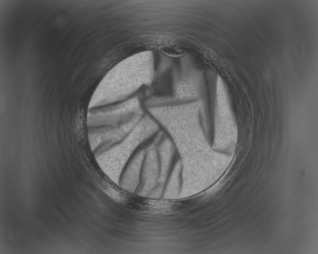 X0000082930144200702222229