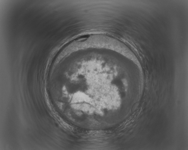 X0000082930145200702222228