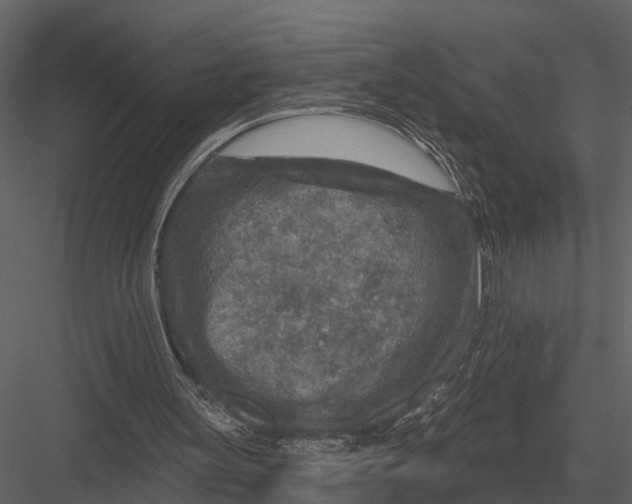 X0000082930147200702222228