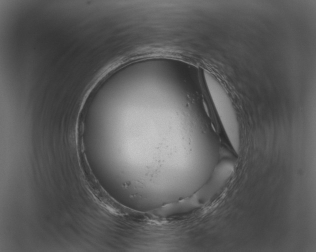 X0000082930148200702222228