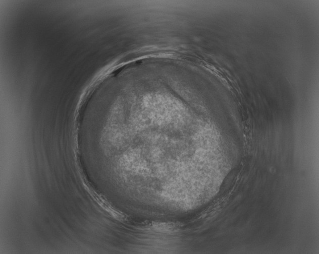 X0000082930149200702222228